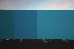 BLUE SCHOOL, 2004, acrylic on paper on archival inkjet print, 8.5 x 11 in